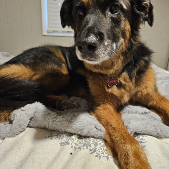 Meet your Posher, Jessica - Picture 2 of 3